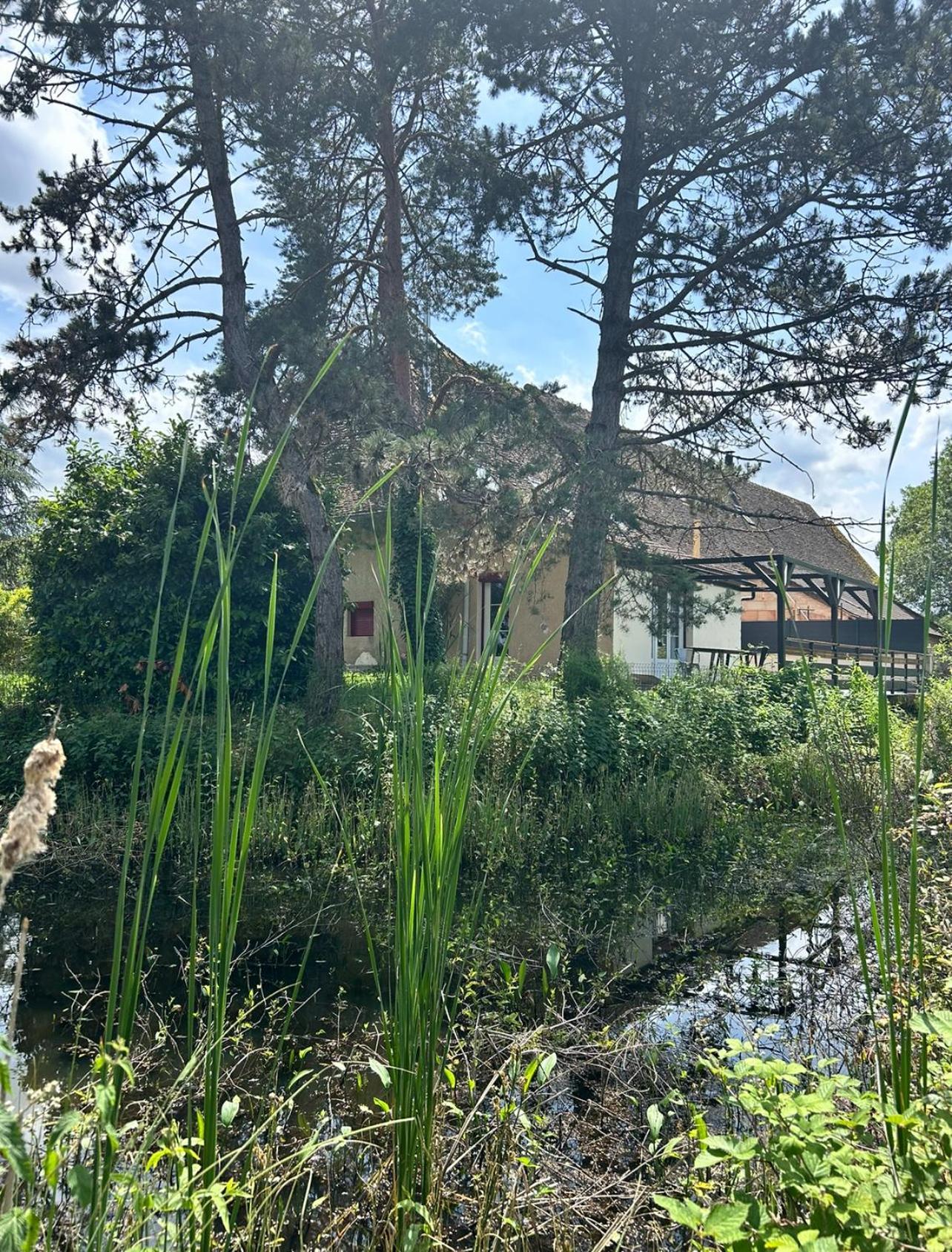 Le Gite Du Chateau Mouton Chatenoy-le-Royal Экстерьер фото